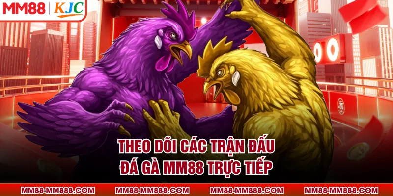 Theo dõi các trận đấu đá gà MM88 trực tiếp